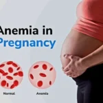 The Lazy Man’s Guide To Travel You to Our Moms Wow!