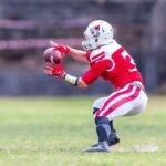 Understanding the Chances of Premature Birth in Subsequent Pregnancies