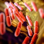 Malaria during pregnancy