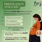 Preeclampsia during Pregnancy